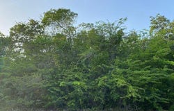 29.5 ACRES SUNRIDGE ESTAT, Exuma & Exuma Cays, 