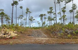 CHESAPEAKE LOT 24, Grand Bahama/Freeport, 