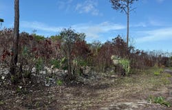 8 FORTUNE POINT CAPTAIN HUL unit: 2, Grand Bahama/Freeport, 