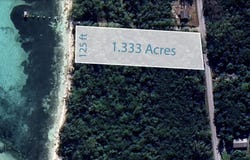 MANGROVE CAY, Andros, Andros