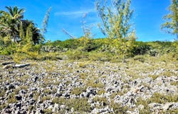 LOT 29 BLOCK 15 SECTION A, Eleuthera, Eleuthera