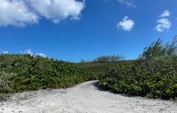Unnamed Road, Gregory Town, North Eleuthera