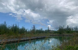 HARLOW WAY, Grand Bahama/Freeport, 