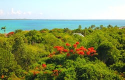 WINTON HIGHWAY, New Providence/Paradise Island, 