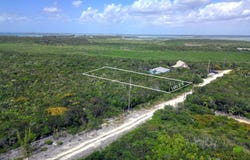 2D YELLOW WOOD CHEROKEE, Abaco, Abaco