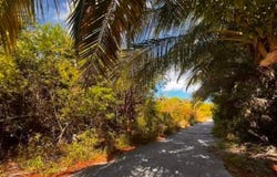 KNOWLES DRIVE lot: 30, Eleuthera, Eleuthera