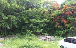 MINNS TOWN FORT FINCASTLE, New Providence/Paradise Island, 