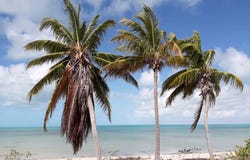 PARCEL B, MASONS BAY, Acklins, Acklins