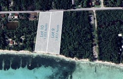 MANGROVE CAY, Andros, Andros