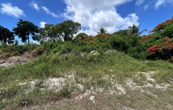 LOT #269, TULIP DRIVE, New Providence/Paradise Island, 