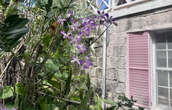 2MXR+V5, Bernard Road, New Providence