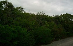 17227 PERIWINKLE LANE, Exuma & Exuma Cays, 