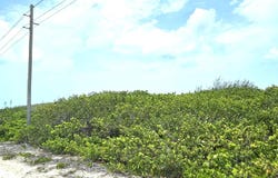 Unnamed Road, Whale Point Estates, North Eleuthera