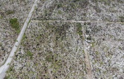 15 LISSINGTON ROAD unit: 3, Grand Bahama/Freeport, 