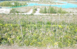 BRISTOL BAY LOT, Grand Bahama/Freeport, 