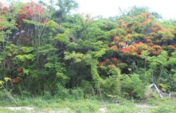 MINNS TOWN FORT FINCASTLE, New Providence/Paradise Island, 