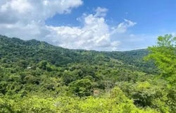LOT 2, SAN SALVADOR, San Salvador, 