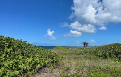 Unnamed Road, Gregory Town, North Eleuthera