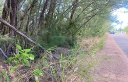 PARCEL B CORAL HARBOR, New Providence/Paradise Island, 