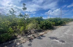 BARBARY BEACH unit: 1, Grand Bahama/Freeport, 