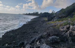 NICHOLLS TOWN, Andros, 