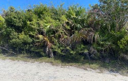 RAINBOW BAY LOT 34, Eleuthera, Eleuthera