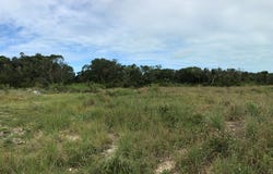 Unnamed Road, Bimini, Bimini