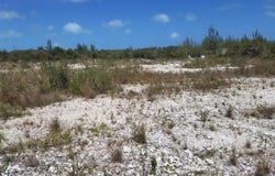 SWEETINGS VILLAGE, Abaco, 