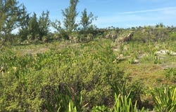 Unnamed Road, Nassau, Berry Islands