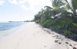 PLEASANT BAY, Andros, Andros