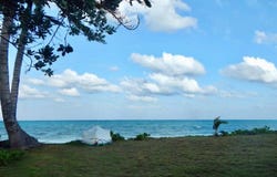 LONG BAY CAYS, Andros, Andros
