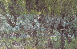 QUEENS HIGHWAY IN DUMFRIE, Cat Island, Cat Island