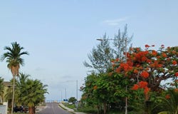 WINTON HEIGHTS VACANT LOT, New Providence/Paradise Island, 