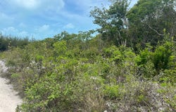 SAMUEL KNOWLES ESTATES LO, Long Island, 