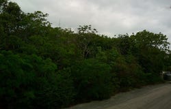 17227 PERIWINKLE LANE, Exuma & Exuma Cays, 