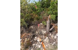TURTLE ROCKS BEACH, Abaco, Abaco