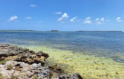 NEAR CASUARINA POINT, Abaco, Abaco