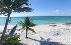 TANGLED UP IN BLUE, Abaco, 