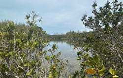 2 GREEN CASTLE, Eleuthera, Eleuthera