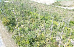 BRISTOL BAY LOT, Grand Bahama/Freeport, 