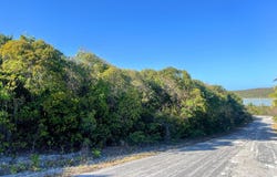 OLEANDER DRIVE, Eleuthera, 
