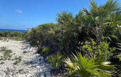 RAINBOW BAY LOT 34, Eleuthera, Eleuthera