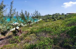 BANKS ROAD BEACHFRONT, Eleuthera, 
