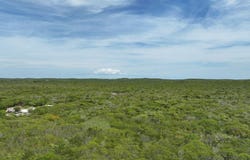 5.5 ACRES DOCTOR'S CREEK, Long Island, 