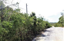 LOT# 51 STELLA MARIS, Long Island, Long Island