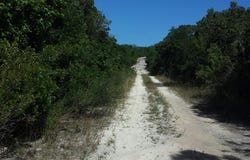QUEENS HIGHWAY IN DUMFRIE, Cat Island, Cat Island