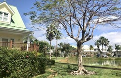 DOUBLOON ROAD, Grand Bahama/Freeport, 