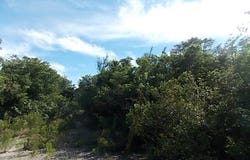 Unnamed Road, Stella Maris, Long Island