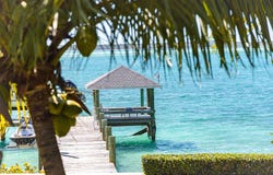 PINEAPPLE WINE, Eleuthera, Eleuthera