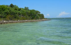 NEAR CASUARINA POINT, Abaco, Abaco